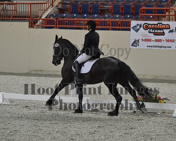 CWdressageII(8-21-16)1253