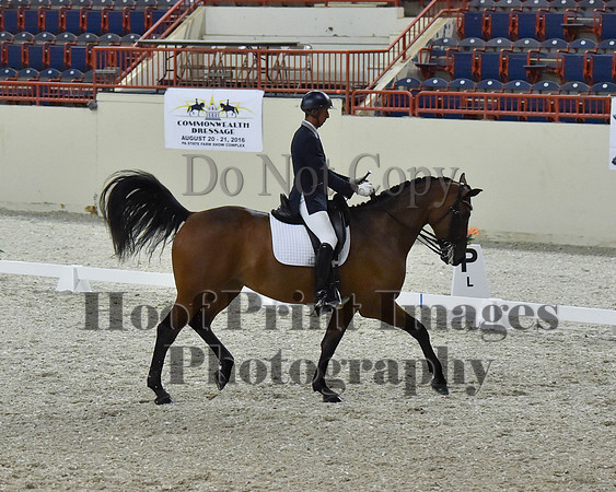 CWdressageII(8-21-16)2221