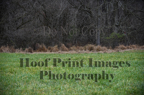 FairHillBFPC(11-27-20)0465