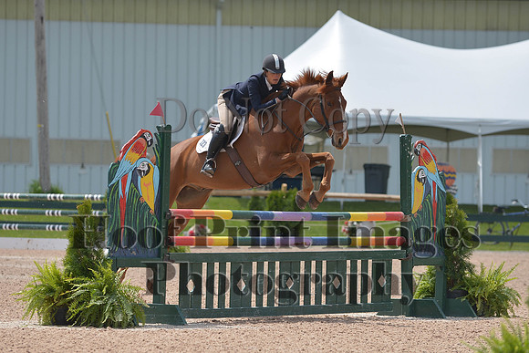 BRSa(5-17-14)HChAdJ0242