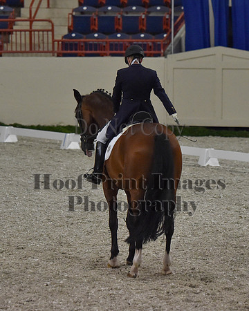 CWdressageII(8-21-16)0777