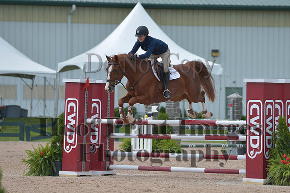 BRSa(5-17-14)HChAdJ0212