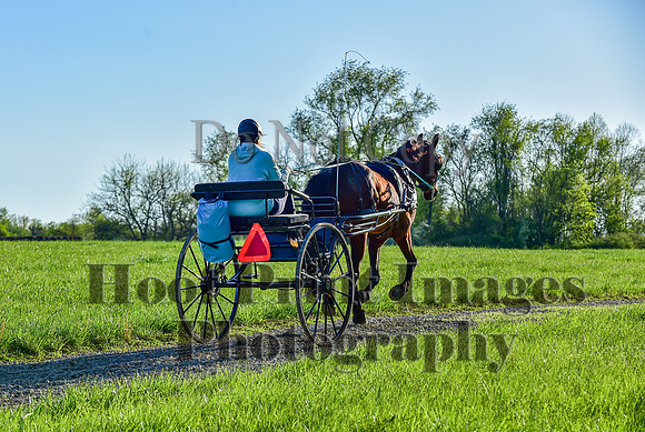 ChesapeakeSpring(4-27-25)0052