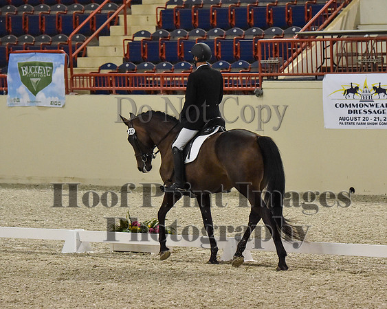 CWdressageII(8-21-16)0328