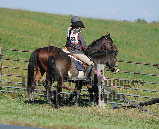 Cheshire(10-20-13)0125