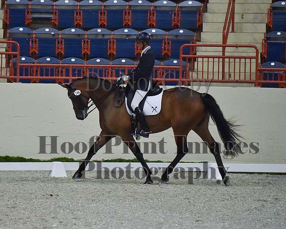 CWdressageII(8-21-16)2234