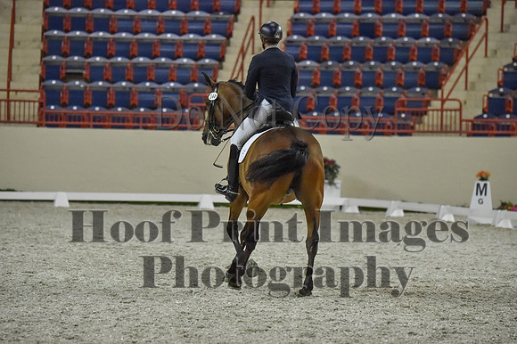 CWdressageI(8-20-16)1369