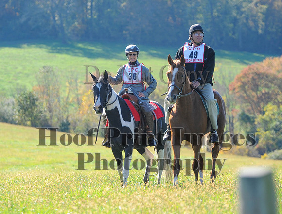 Cheshire(10-20-13)0572
