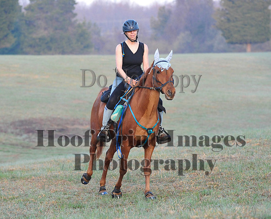 Foxcatcher(4-12-14)0146