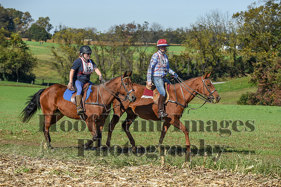 CheshirePC(10-18-20)0430