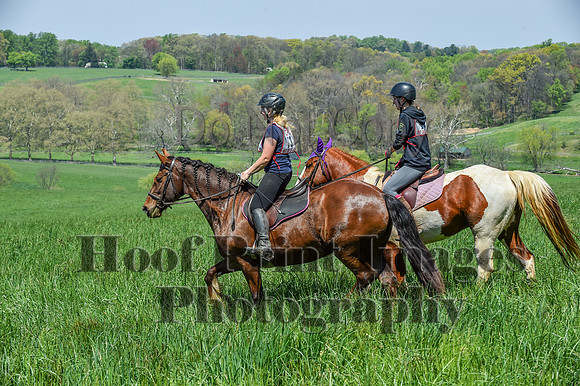 CheshireSpringPC1(4-28-24)0371