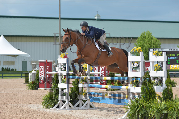 BRSa(5-17-14)HChAdJ0170