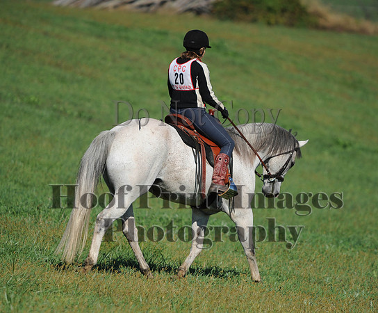 Cheshire(10-20-13)0397