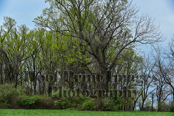 FairHillPC(4-19-25)0087