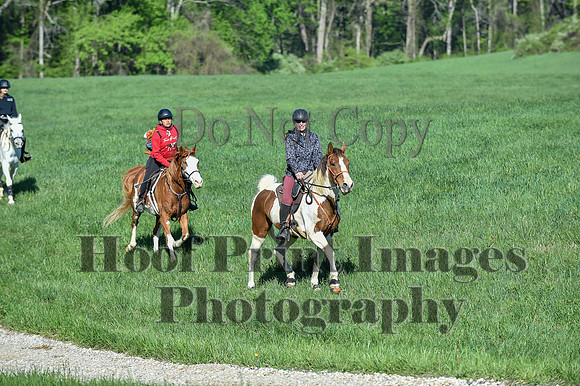 ChesapeakeSpring(4-27-25)0313