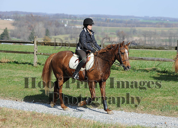 AndrewsBr(11-9-14)0085