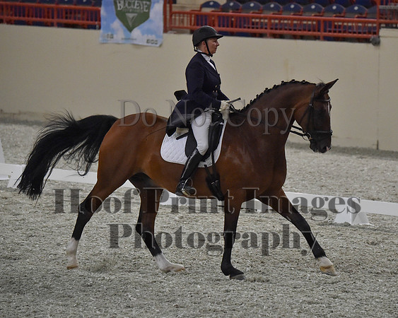CWdressageII(8-21-16)0775