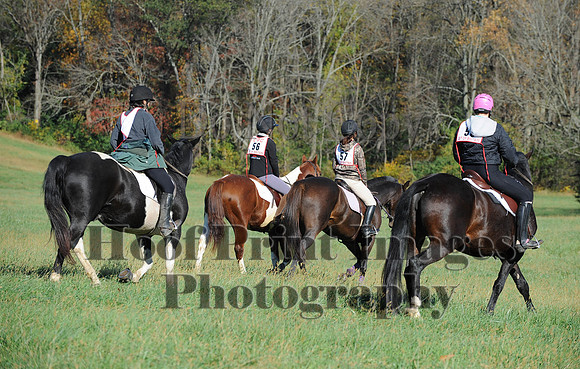 Cheshire(10-19-14)0456