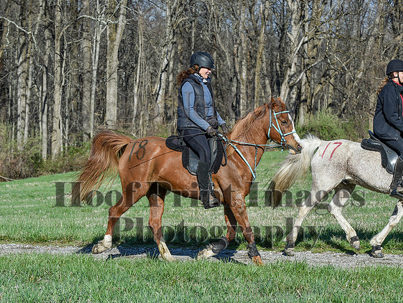 ChesapeakeSpring(4-10-22)0512