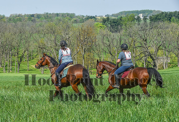 CheshireSpringPC1(4-28-24)0066