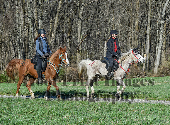 ChesapeakeSpring(4-10-22)0510
