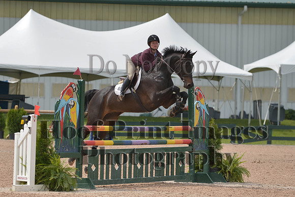 BRSa(5-17-14)HChAdJ0182
