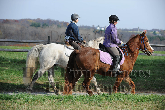 AndrewsBr(11-9-14)0237