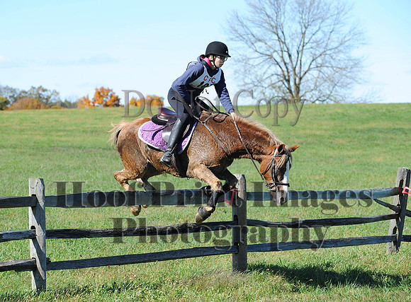 Cheshire(10-19-14)0022