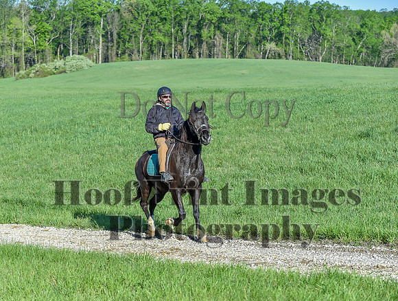 ChesapeakeSpring(4-27-25)0221