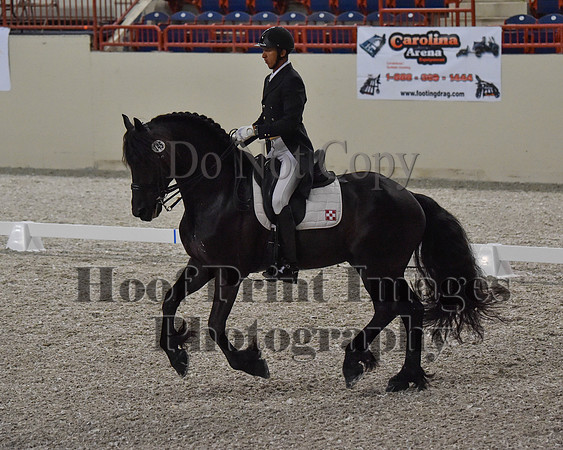 CWdressageII(8-21-16)0583