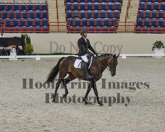 CWdressageII(8-21-16)0361