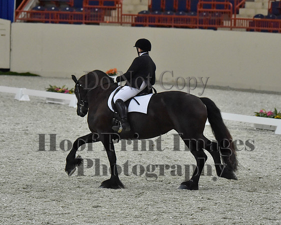 CWdressageII(8-21-16)2184