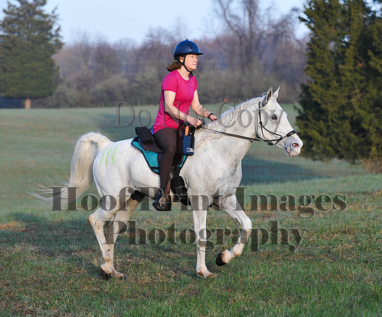 Foxcatcher(4-12-14)0331