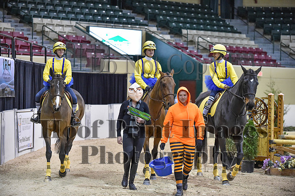 MidAtEqFest(11-14-15)1453