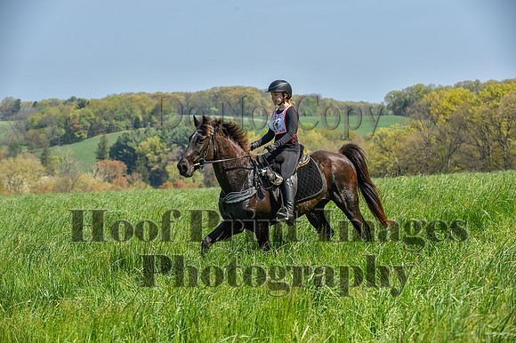 CheshireSpringPC1(4-28-24)0091