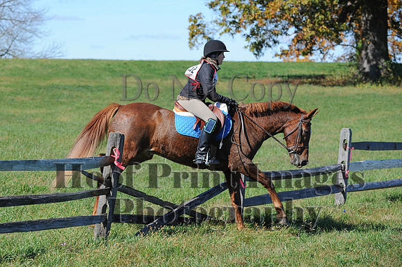 Cheshire(10-19-14)0076