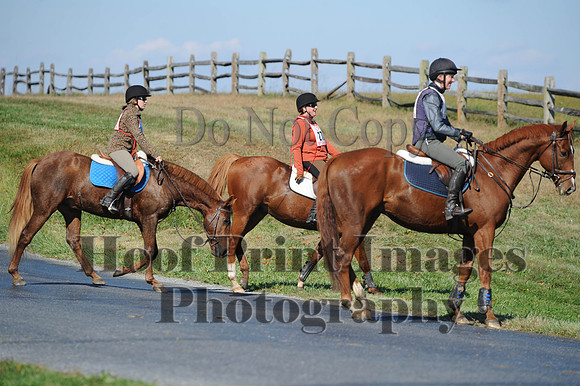 Cheshire(10-20-13)0304