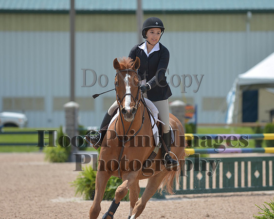 BRSa(5-17-14)HChAdJ0248
