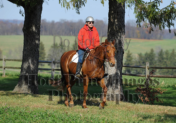 AndrewsBr(11-9-14)0038