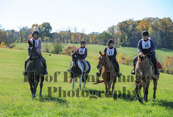 Cheshire(10-19-14)0129
