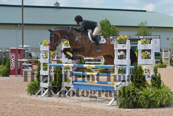BRSa(5-17-14)HChAdJ0265