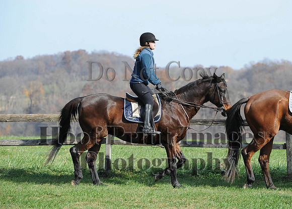 AndrewsBr(11-9-14)0182