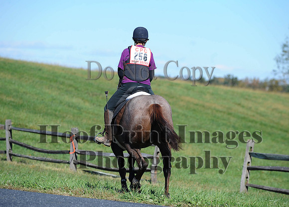 Cheshire(10-19-14)0062