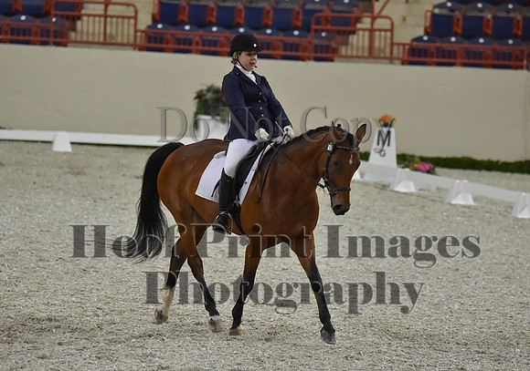 CWdressageI(8-20-16)0385