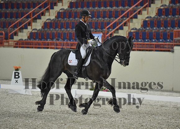 CWdressageI(8-20-16)1677