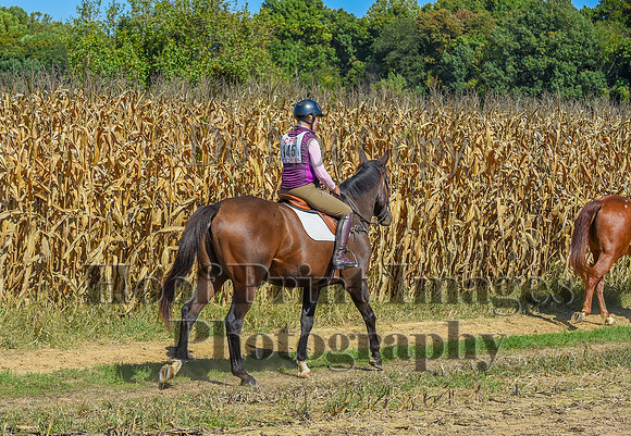 CheshirePonyClubPC(10-6-24)0660