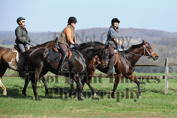 AndrewsBr(11-9-14)0184