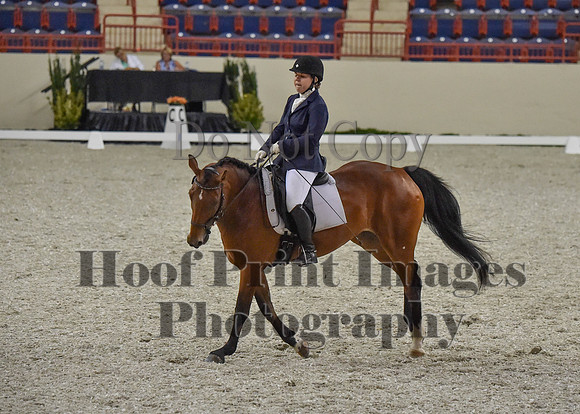 CWdressageI(8-20-16)0403