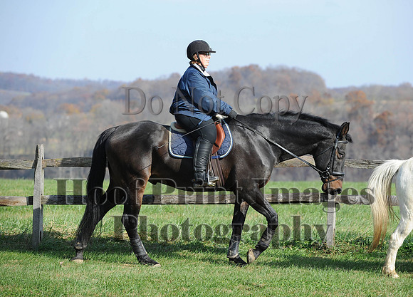 AndrewsBr(11-9-14)0157