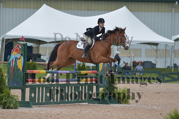 BRSa(5-17-14)HChAdJ0193